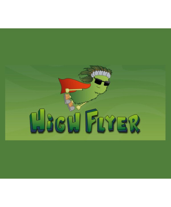 High Flyer Steam Key GLOBAL